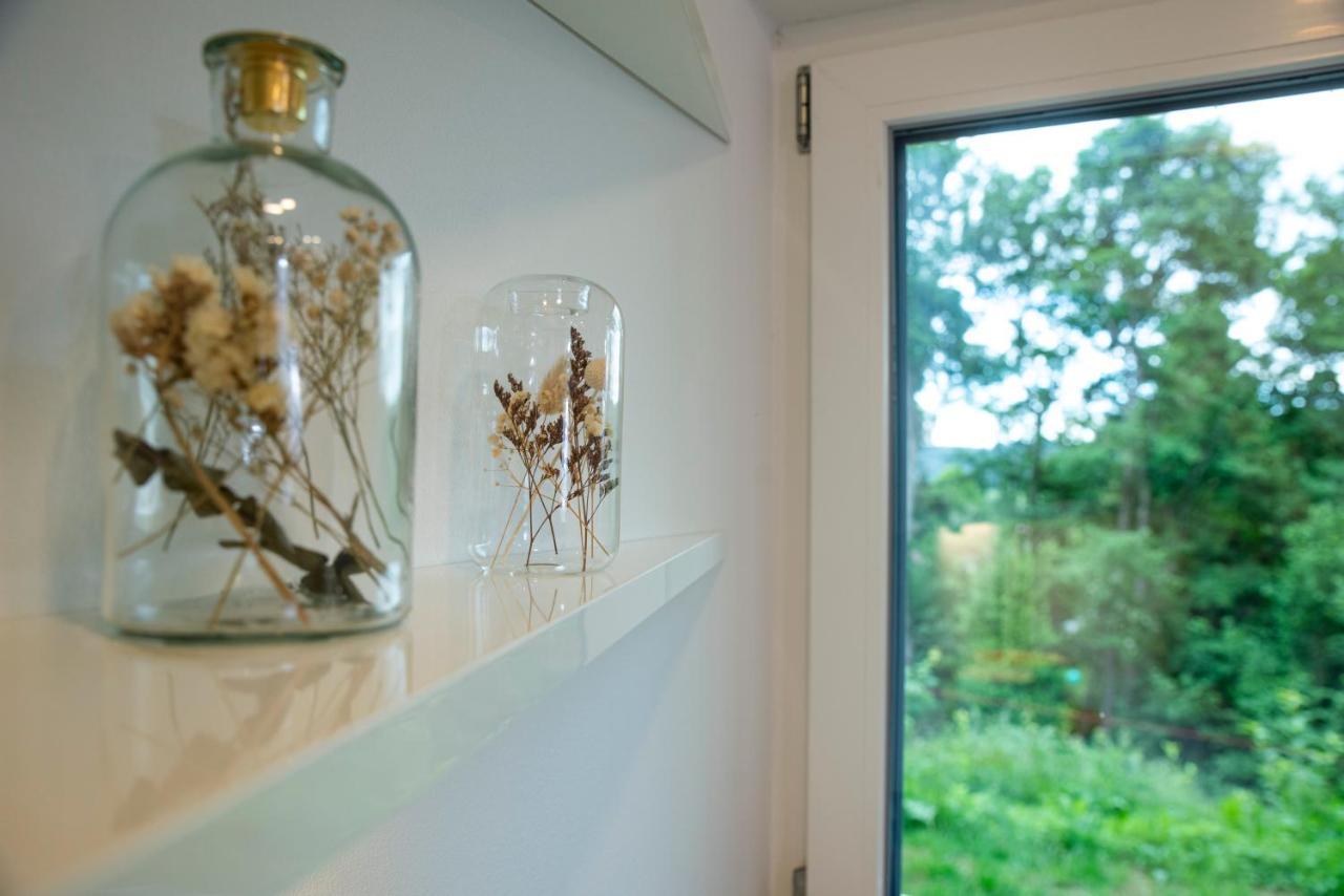 Moderne Wohnung Im Gruenen Mit Privatem Garten Donaueschingen Ngoại thất bức ảnh