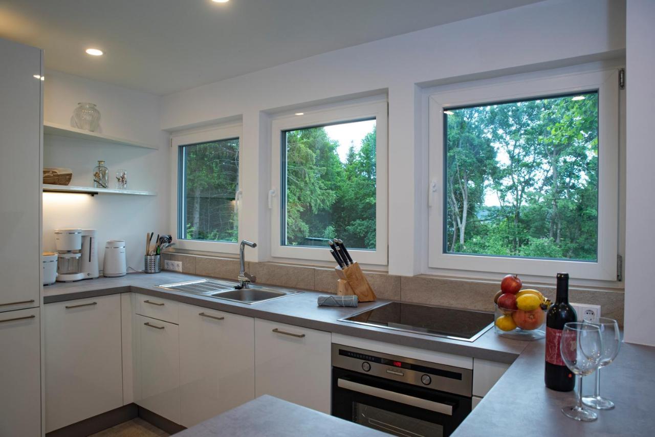 Moderne Wohnung Im Gruenen Mit Privatem Garten Donaueschingen Ngoại thất bức ảnh