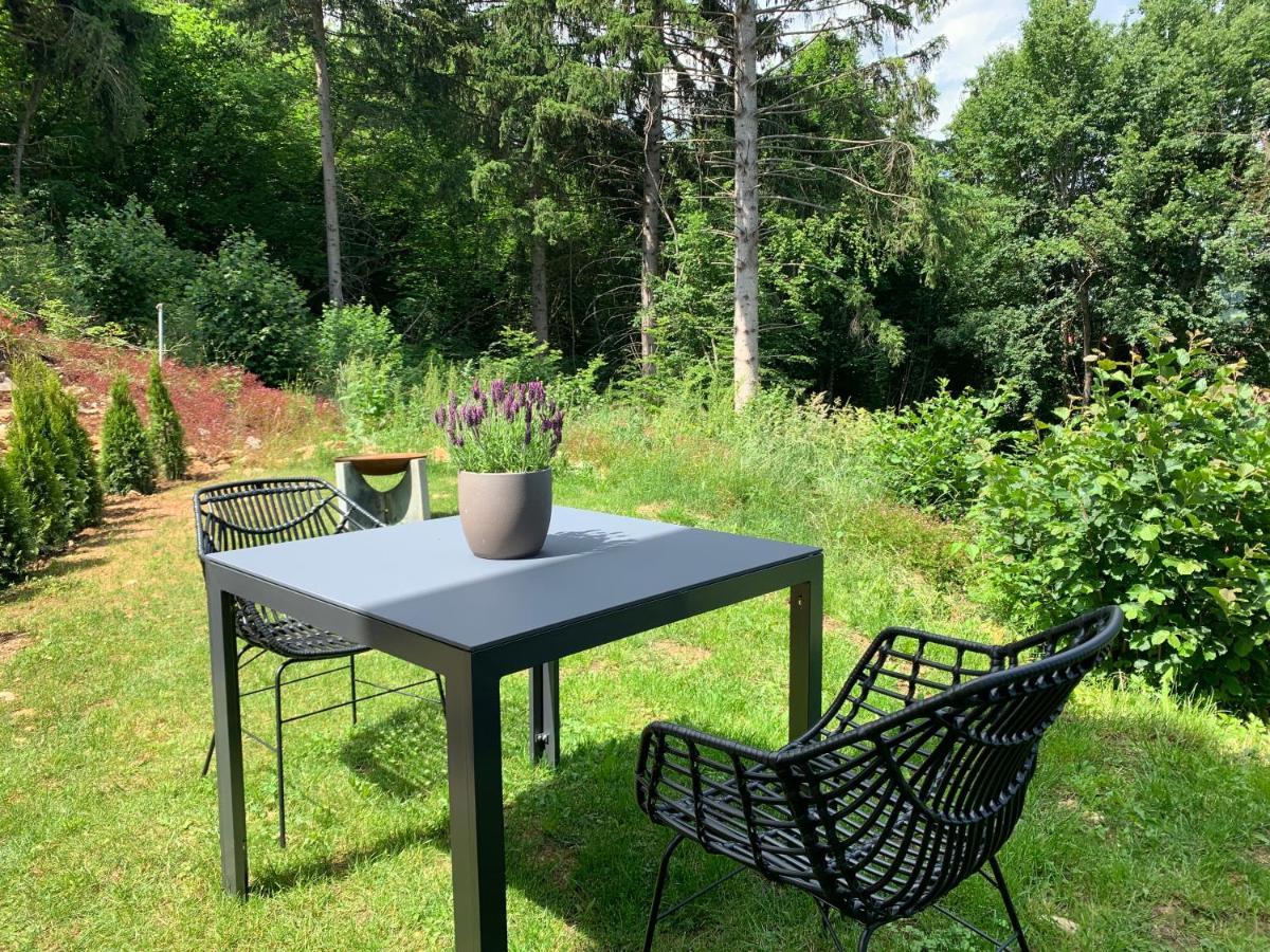 Moderne Wohnung Im Gruenen Mit Privatem Garten Donaueschingen Ngoại thất bức ảnh