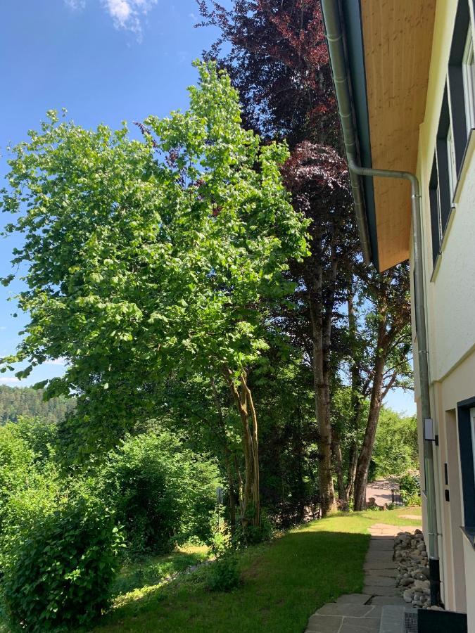 Moderne Wohnung Im Gruenen Mit Privatem Garten Donaueschingen Ngoại thất bức ảnh